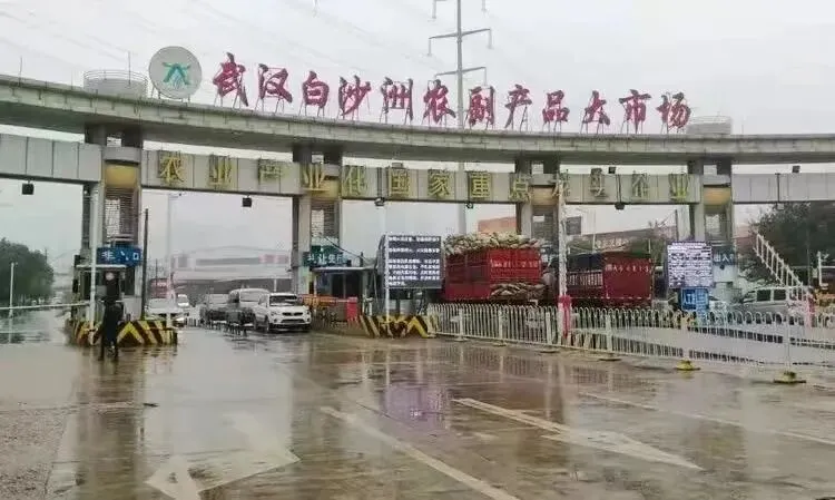 重磅!白沙洲冷链市场即将落地光谷东!