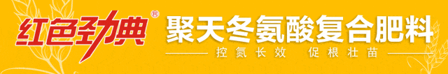供应有序改善,钾肥市场在“紧平衡”中趋稳运行