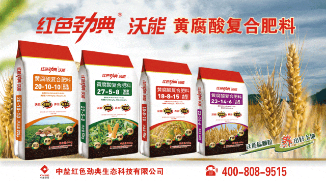 供应有序改善,钾肥市场在“紧平衡”中趋稳运行