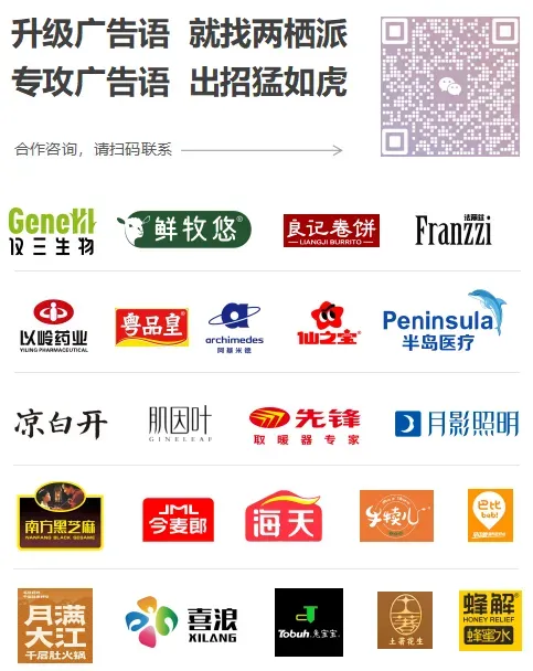 高手从不看风水:用一个思想实验,看清营销的真相