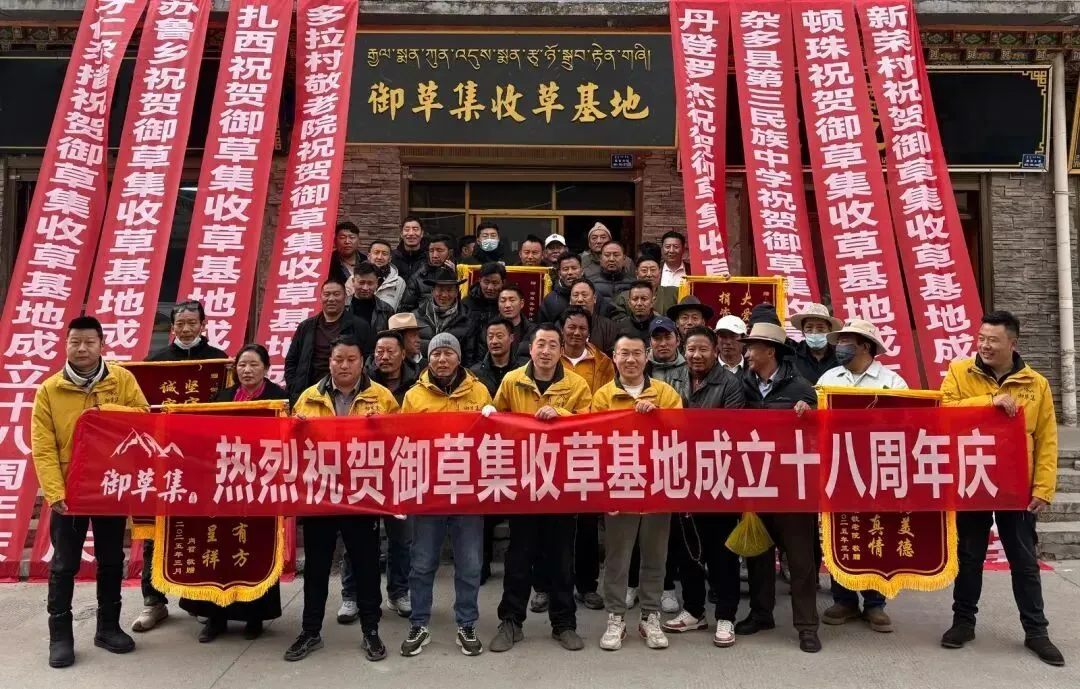 崩了,虫草市场暴雷了!!!