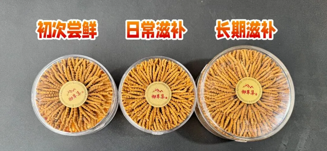 崩了,虫草市场暴雷了!!!