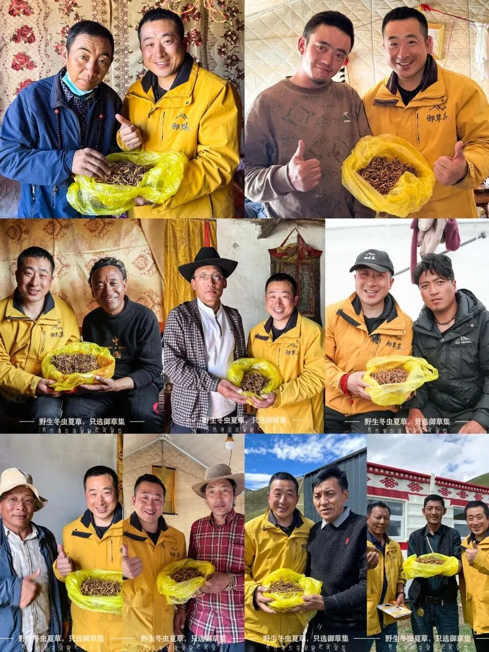 崩了,虫草市场暴雷了!!!