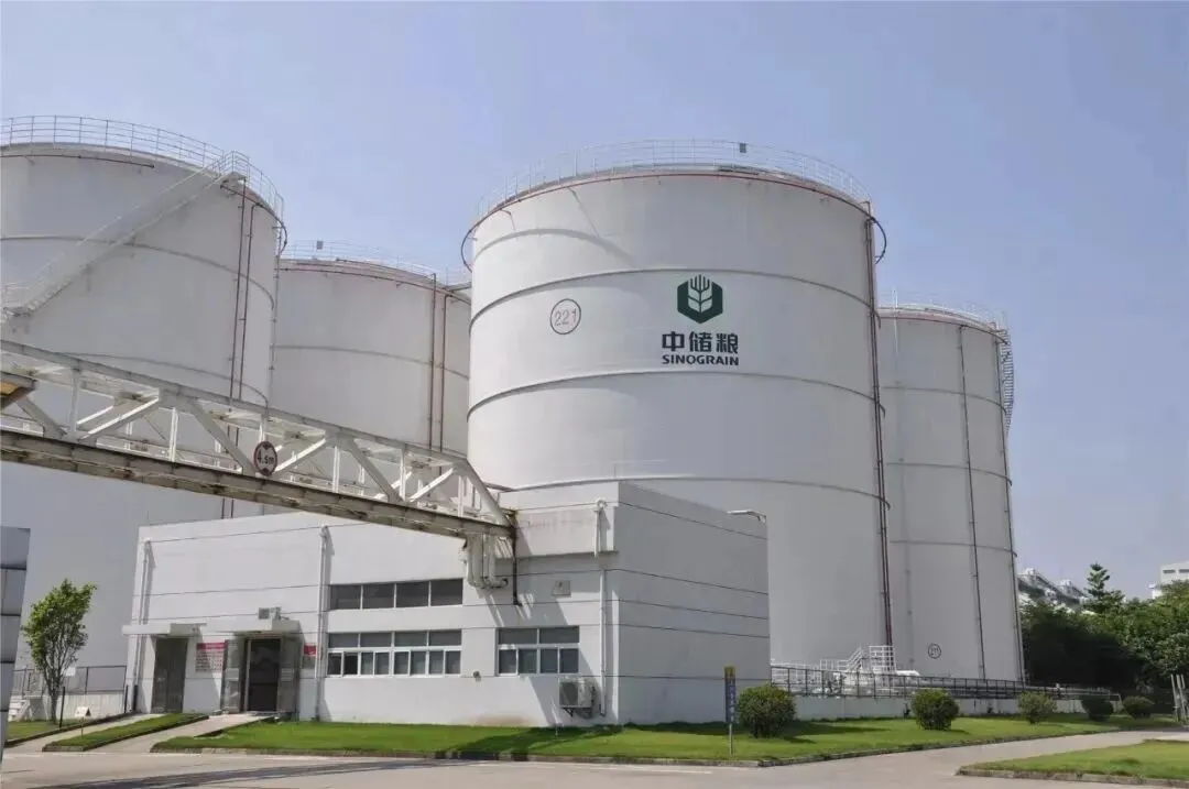 粮讯社︱托市小麦100%成交,进一步点燃市场看涨预期