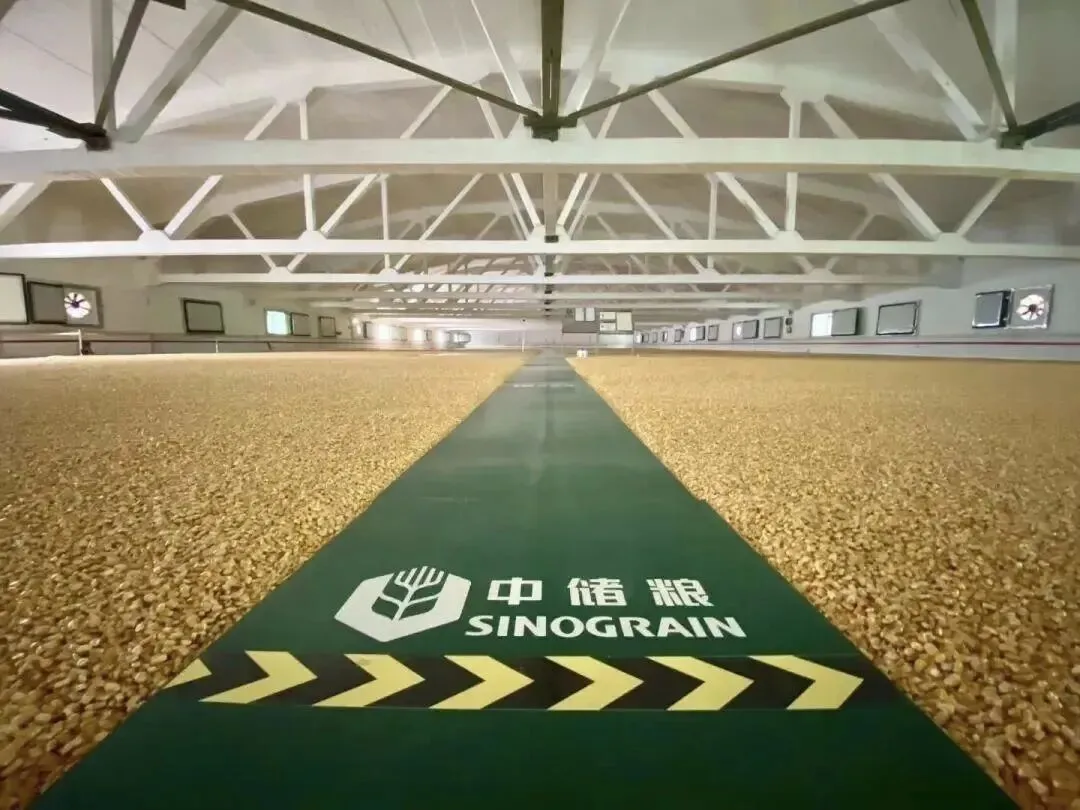 粮讯社︱托市小麦100%成交,进一步点燃市场看涨预期