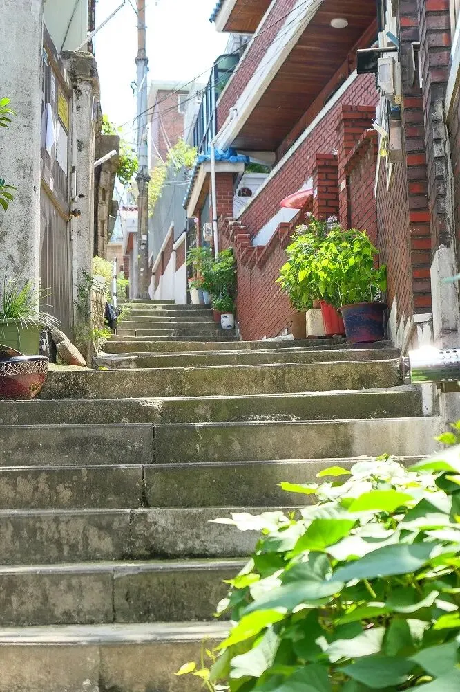 跟着咖啡香爬高走低!韩国新兴市场文青小聚落旅游攻略全知道