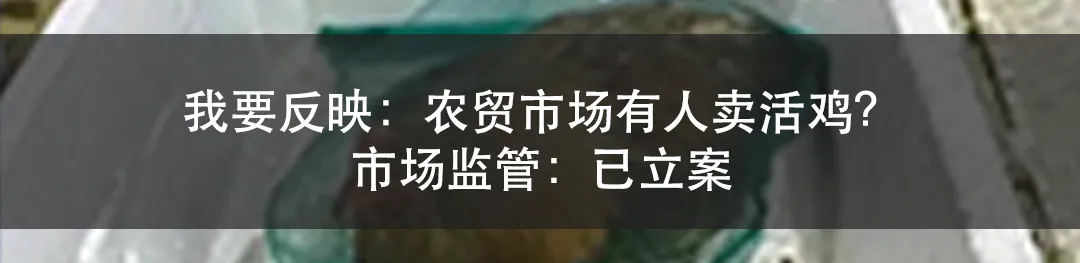 出类拔萃!市民个协会用“服务温度”换取市场主体“发展热度”