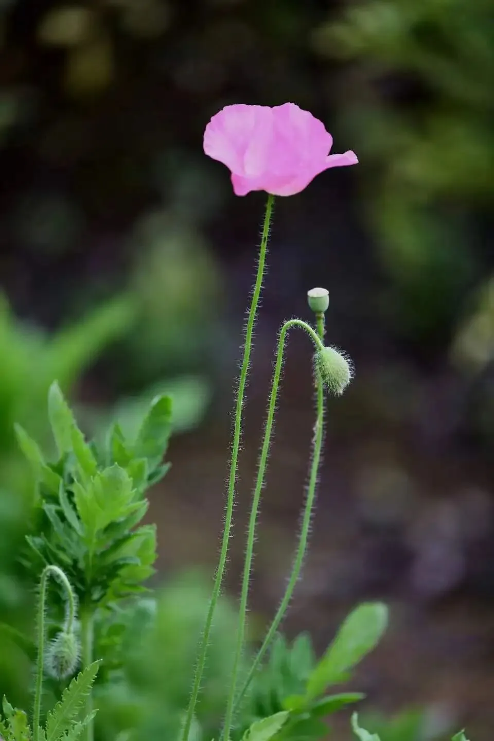 县级邮政,如何走专业营销之路?