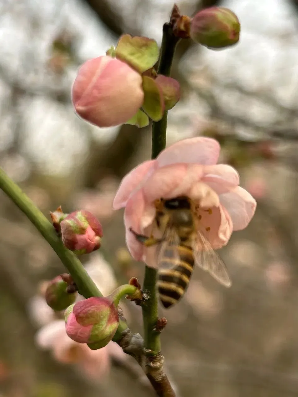 县级邮政,如何走专业营销之路?