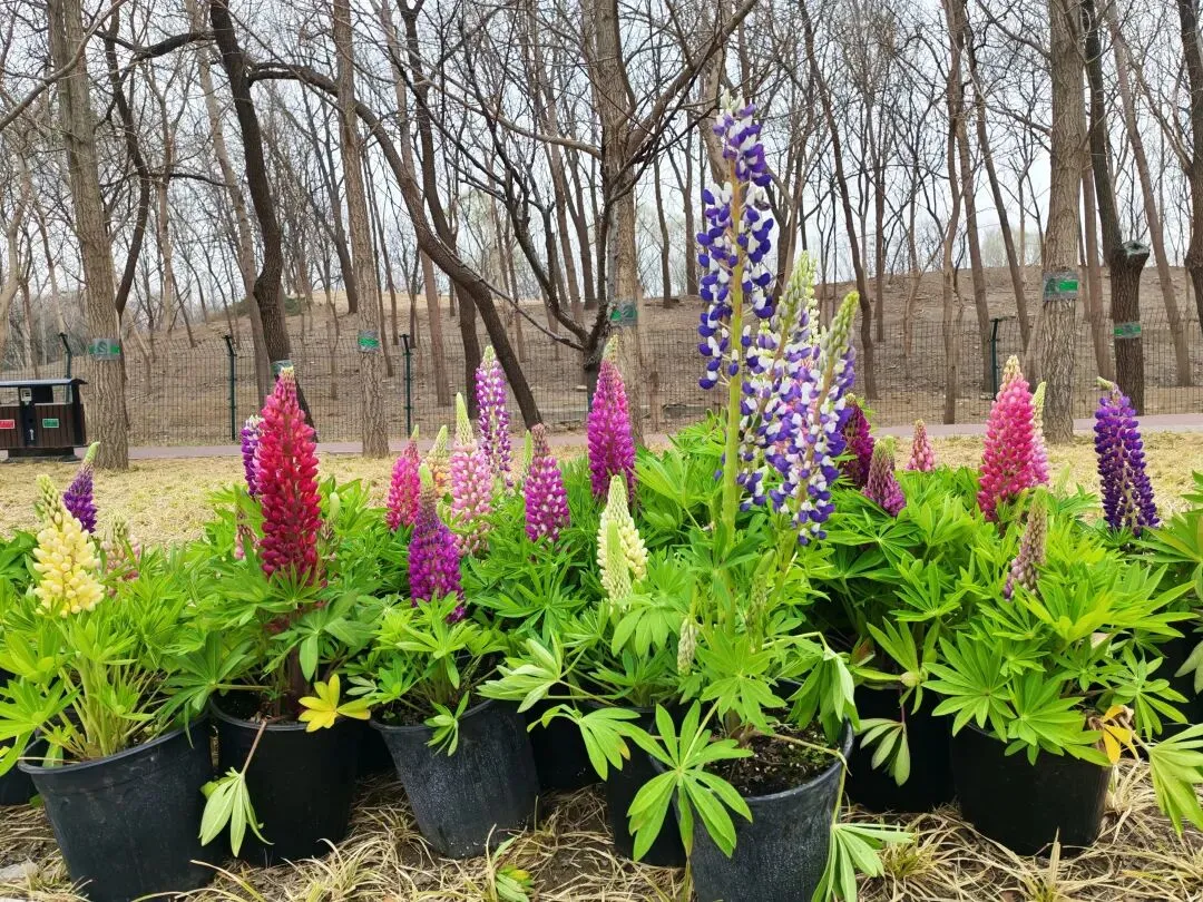 县级邮政,如何走专业营销之路?