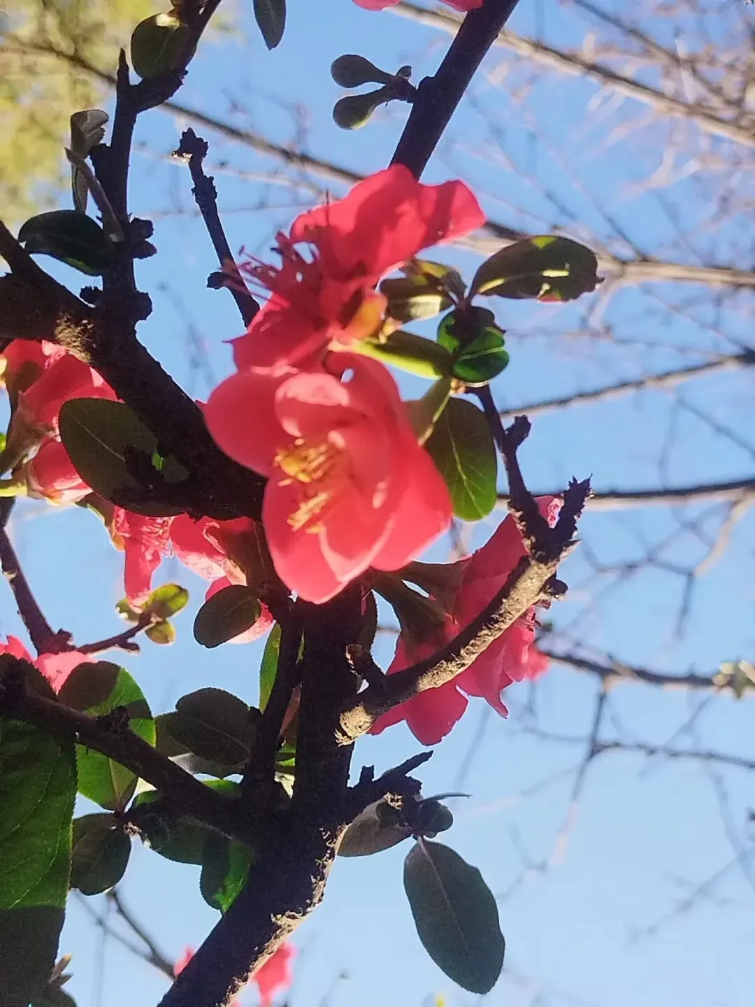 县级邮政,如何走专业营销之路?