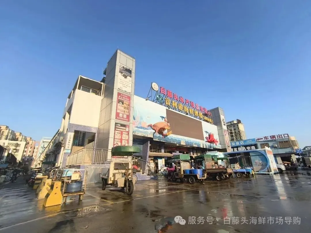 珠海白藤头海鲜批发市场寻鲜记:解码“海杂鱼”的平民美味哲学,白藤头海杂鱼:藏在珠海渔港里的鲜爽密码!