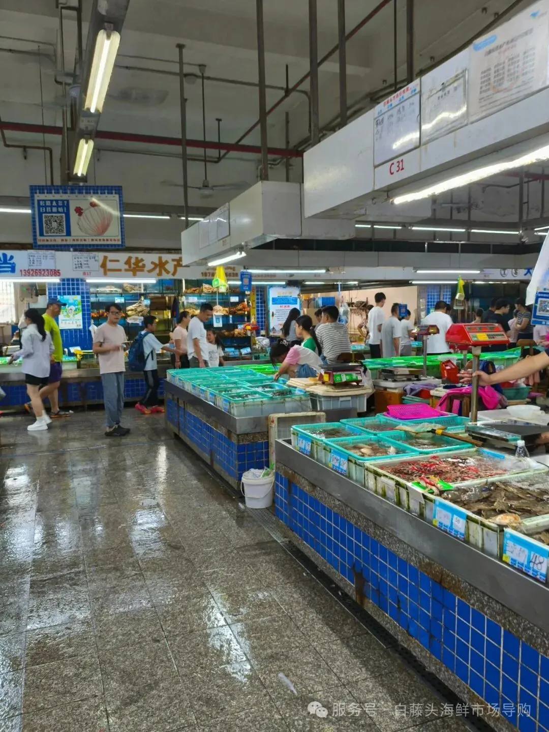 珠海白藤头海鲜批发市场寻鲜记:解码“海杂鱼”的平民美味哲学,白藤头海杂鱼:藏在珠海渔港里的鲜爽密码!