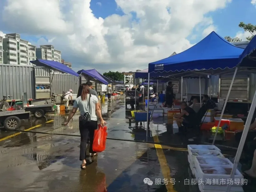 珠海白藤头海鲜批发市场寻鲜记:解码“海杂鱼”的平民美味哲学,白藤头海杂鱼:藏在珠海渔港里的鲜爽密码!