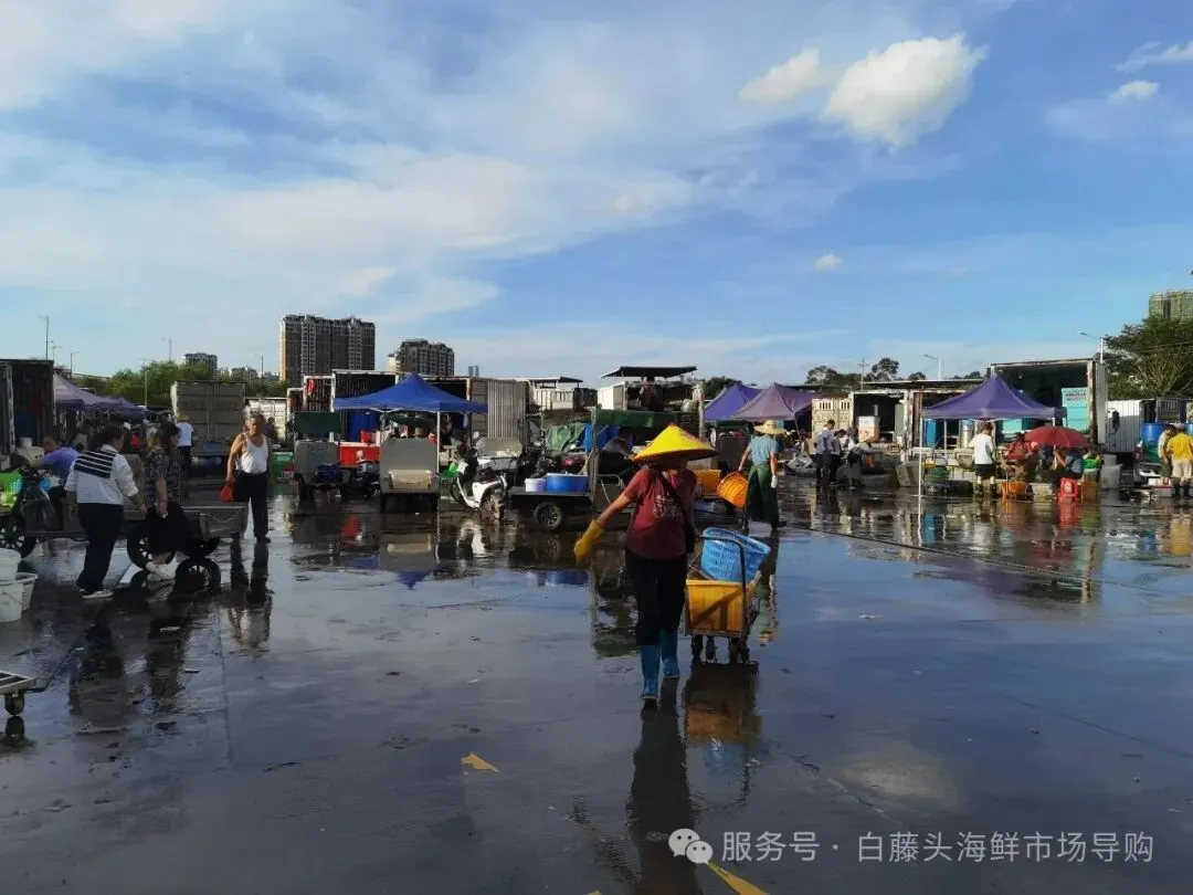 珠海白藤头海鲜批发市场寻鲜记:解码“海杂鱼”的平民美味哲学,白藤头海杂鱼:藏在珠海渔港里的鲜爽密码!
