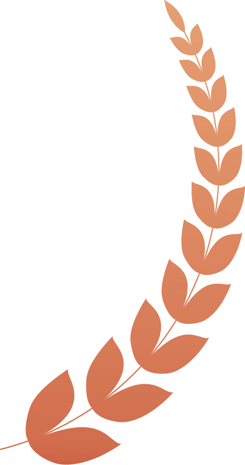 获客通电脑版搭配手机版=全链路获客!一台电脑控制 100台手机,自动寻找客户,2025年最有效方式!