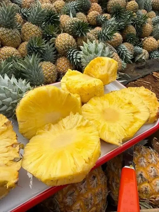 2026年3月18日春季时令水果市场真实行情报告