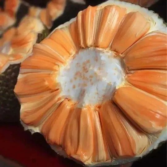 2026年3月18日春季时令水果市场真实行情报告