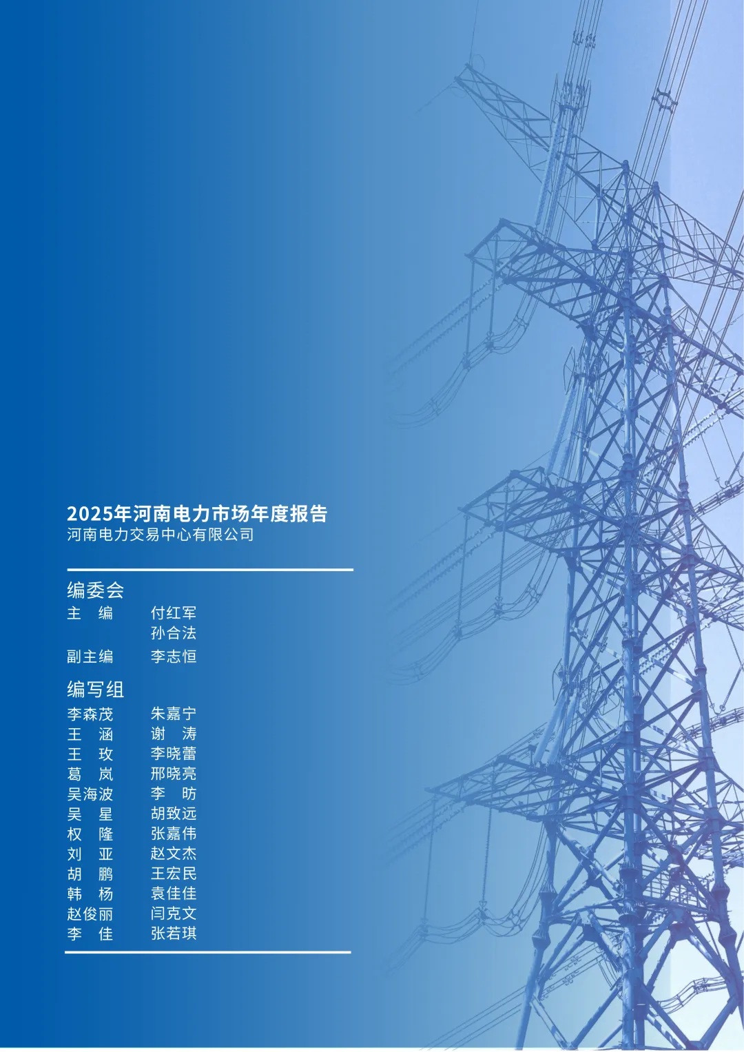 2025年河南电力市场年度报告