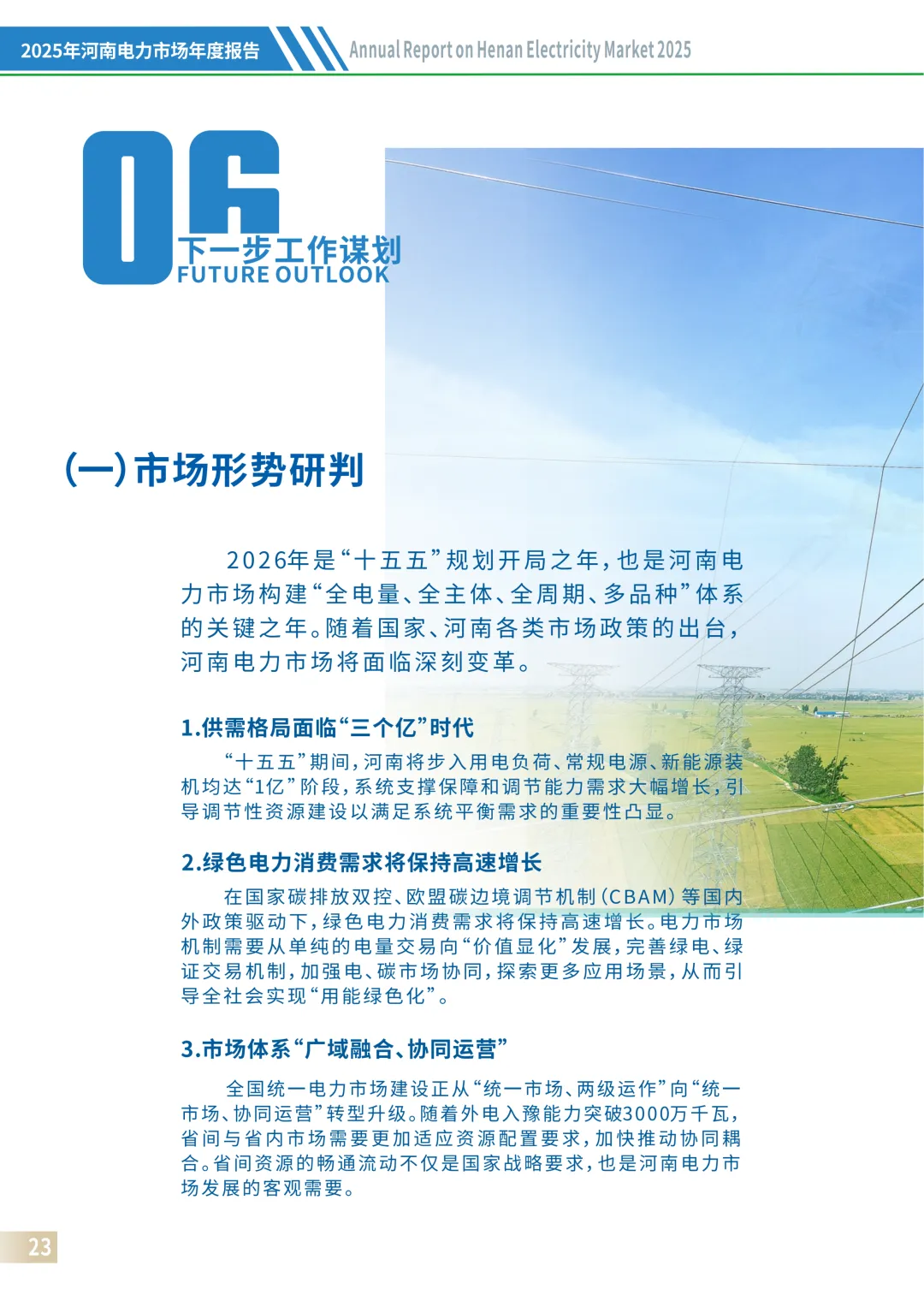 2025年河南电力市场年度报告