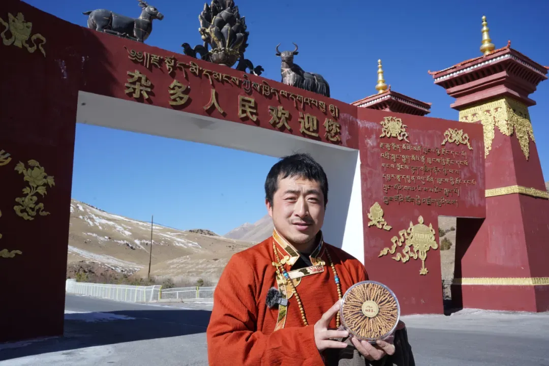 崩了,虫草市场暴雷了!!