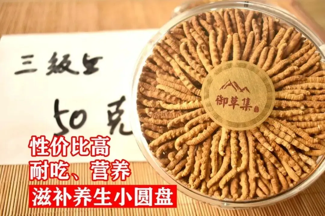 崩了,虫草市场暴雷了!!