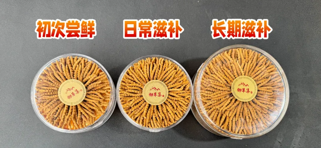 崩了,虫草市场暴雷了!!