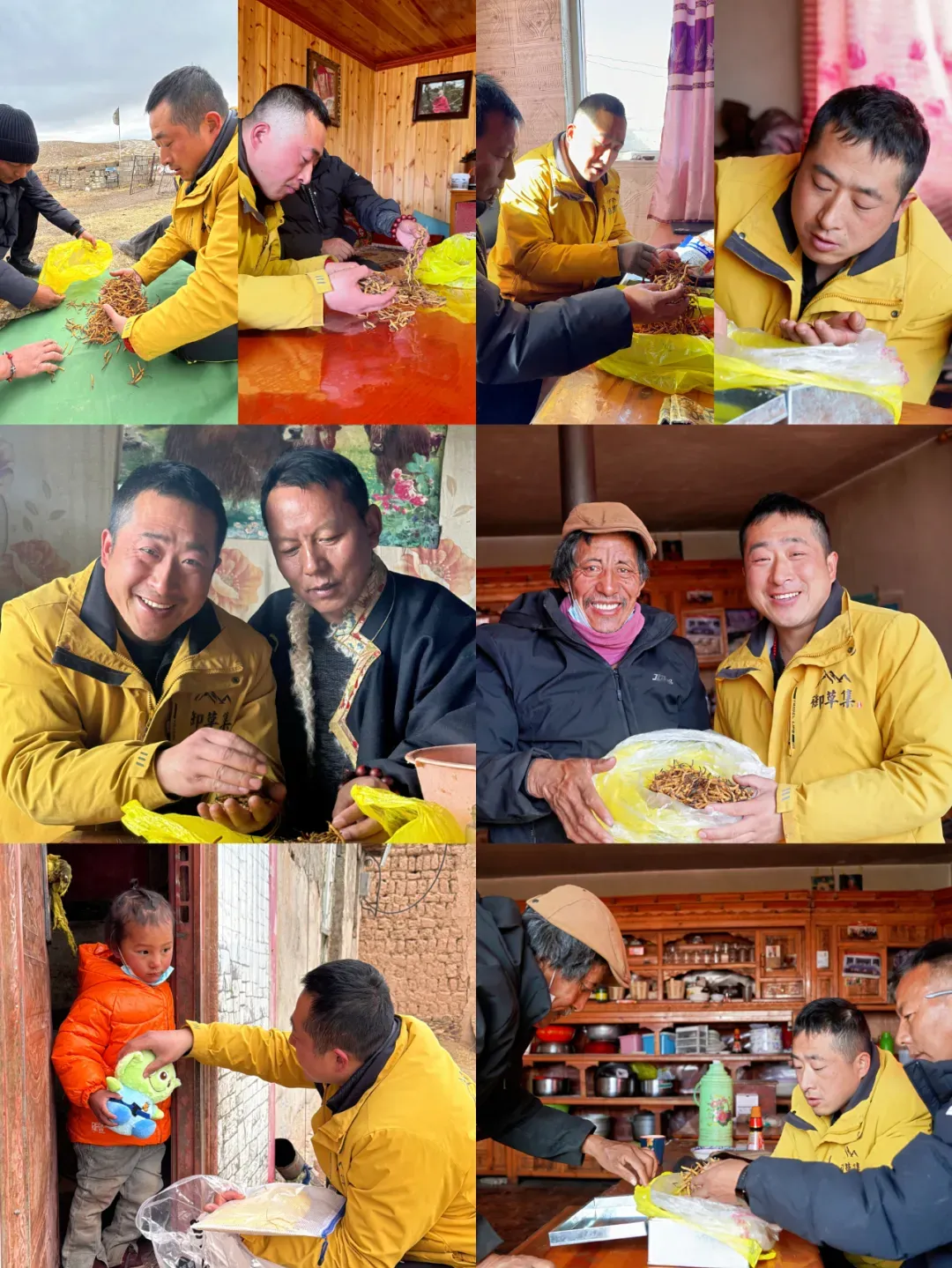 崩了,虫草市场暴雷了!!