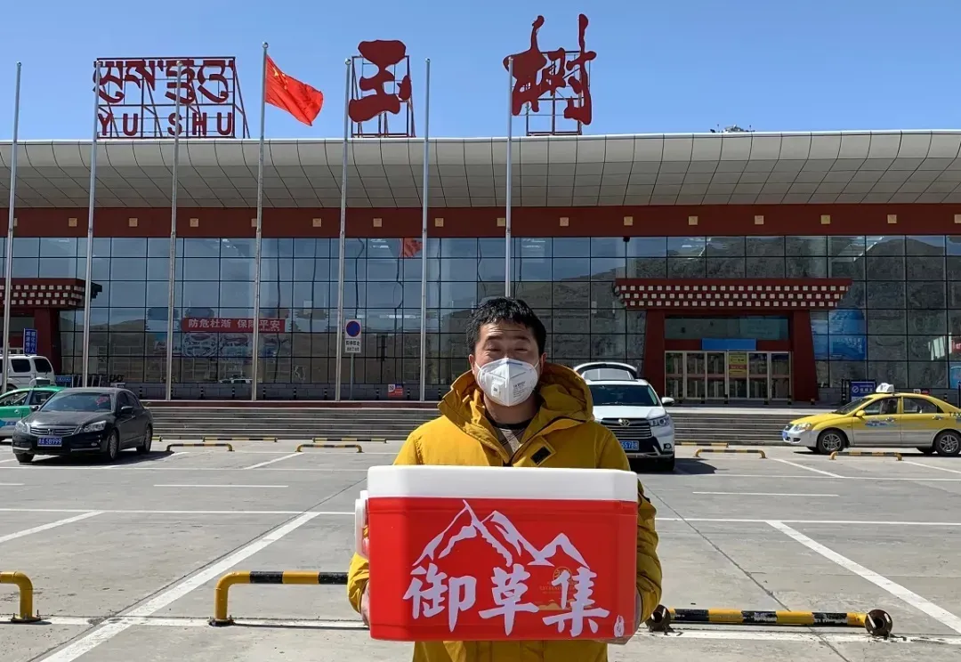 崩了,虫草市场暴雷了!!