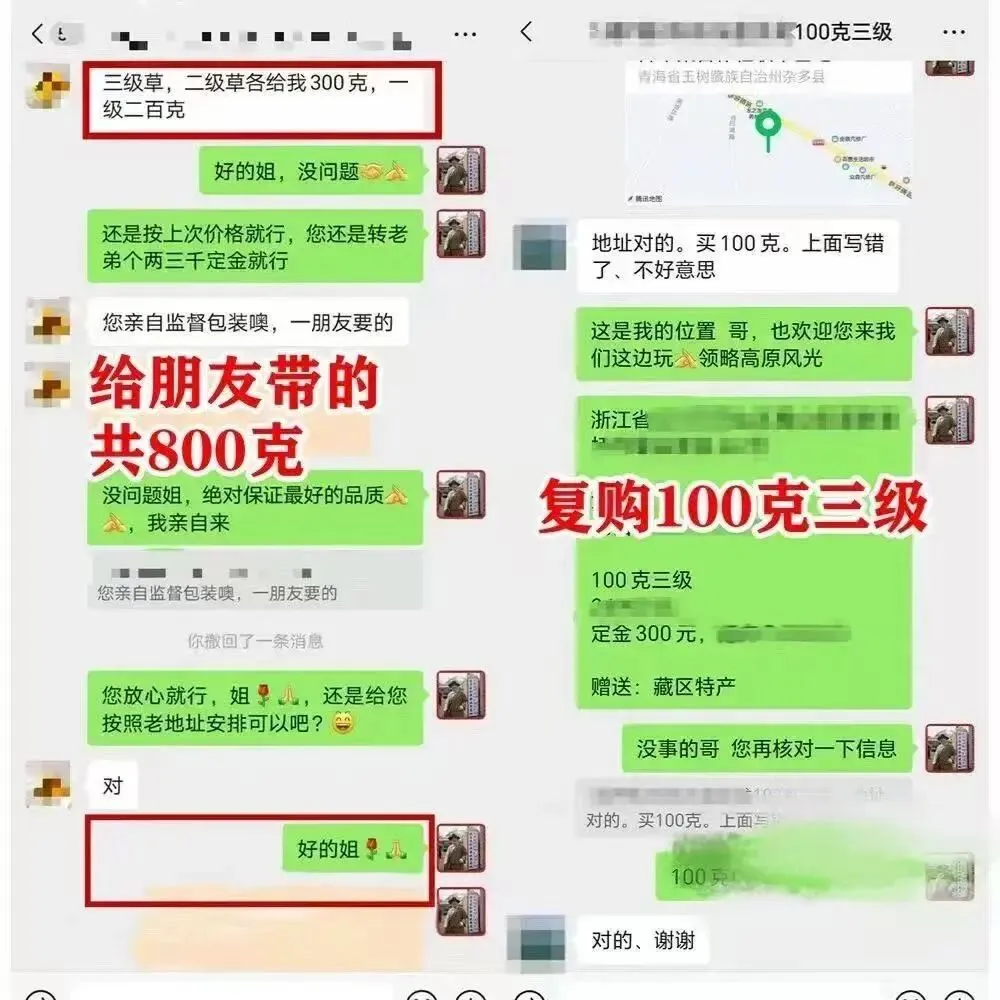 崩了,虫草市场暴雷了!!