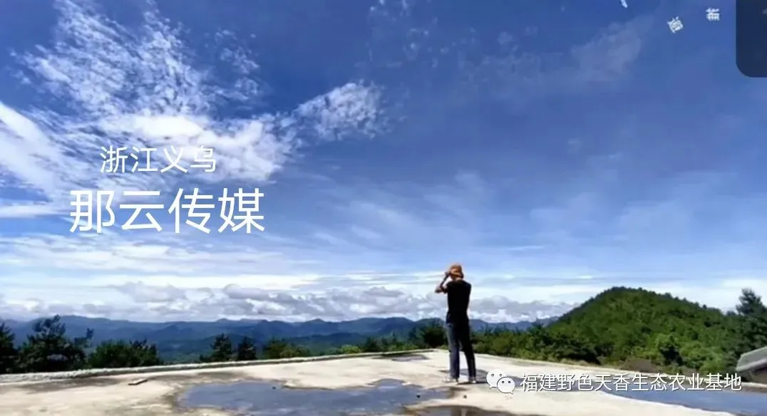 浙江义乌小商品批发市场新哥教新手小白如何在宁德跨境电商园业区做自媒体创业!