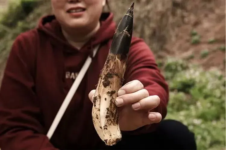我说过3月餐饮最好的营销动作是春季新品上新,来看看各大餐饮品牌都做了哪些上新动作?