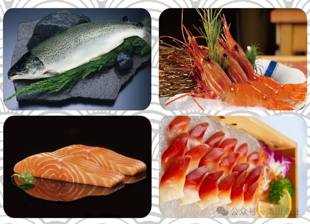 海川渔业 | 下沉市场这笔账如何算得清