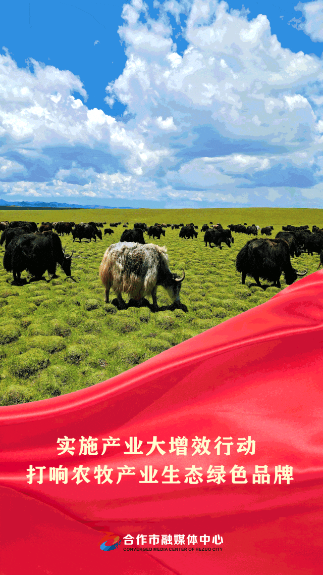 合作市市场监督管理局关于入网餐饮服务提供者履行食品安全主体责任的提醒告诫书