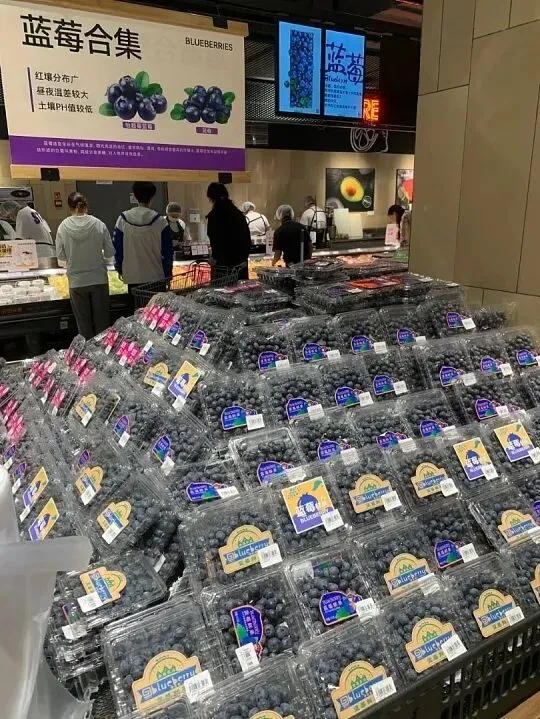 【商品售卖知识】超市蓝莓营销实战攻略!3大案例解析+5大利润策略,一颗蓝莓如何实现销量暴涨300%的奥秘