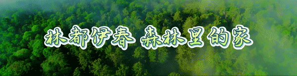 【工作动态】伊春市市场监督管理局伊美分局创新构建网络餐饮多元化共治新格局