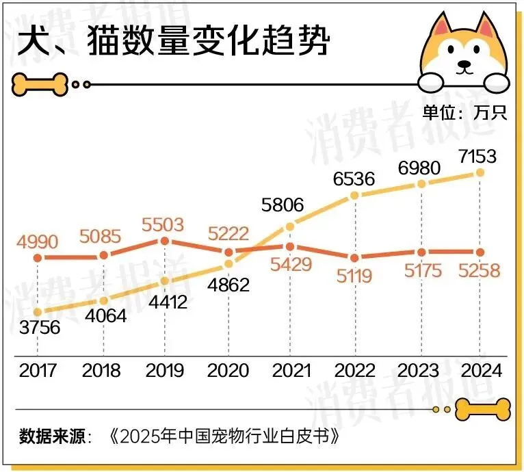 三千亿宠物市场的背后