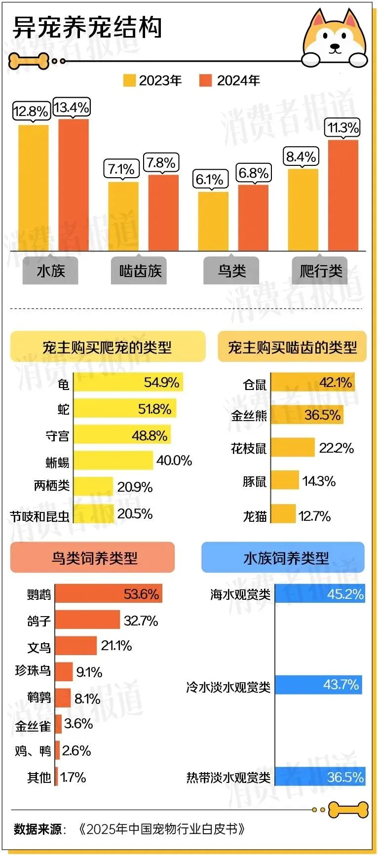 三千亿宠物市场的背后