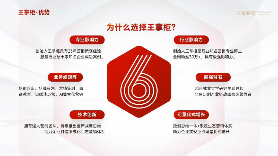 《王掌柜营销系统解决方案》