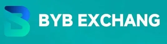 不同的人,不同的节奏:在同一个市场里,找到自己的步伐