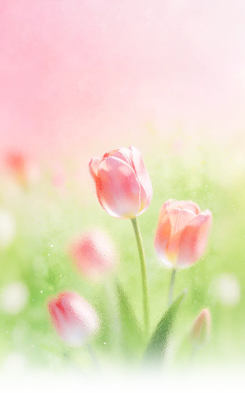 倒计时开启!|中茶蝴蝶2026营销赋能特训营,等您加入