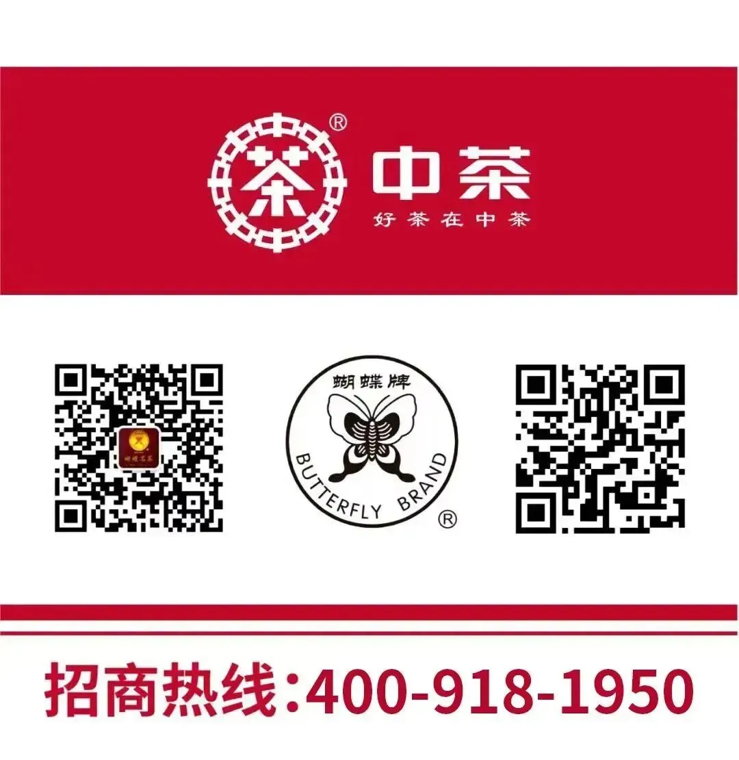 倒计时开启!|中茶蝴蝶2026营销赋能特训营,等您加入