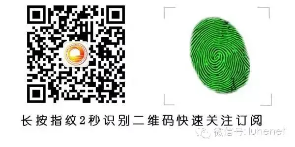 「链市场 链资源 链人脉」三链主题走访日暨主题党日活动:走进鱼传科技,解锁数字营销密码