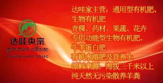 春启新程开门红|深入一线拓市场 达哇央宗全面发力春耕布局