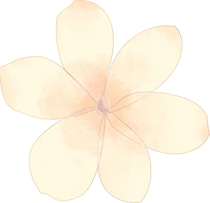 2025年鳜鱼市场分析及2026年行情预测