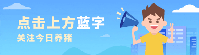 上市猪企卖得越多亏得越多,政策底与市场底何时共振?