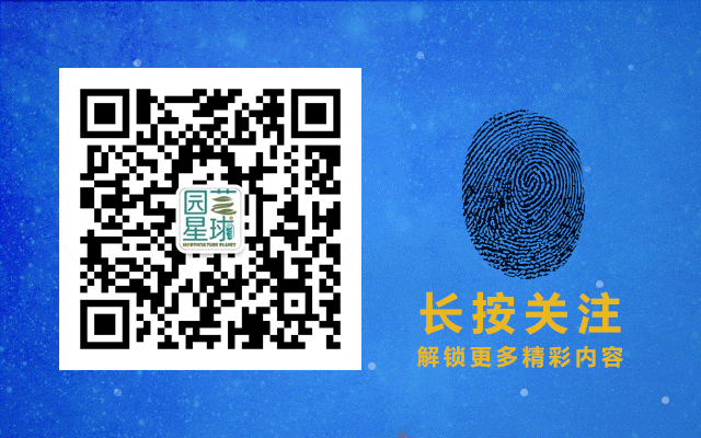【国际】野樱莓:“超级水果”的市场机遇与现实挑战