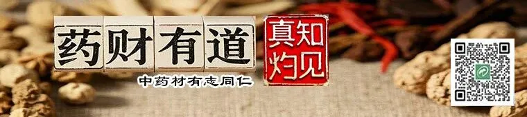 药财有道|地黄市场触底回暖,供需博弈下行情震荡前行