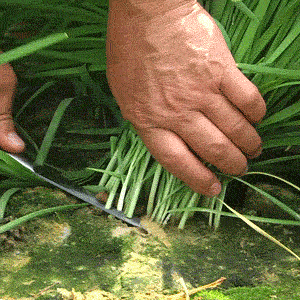 AI营销 大部分人其实都在被割韭菜!