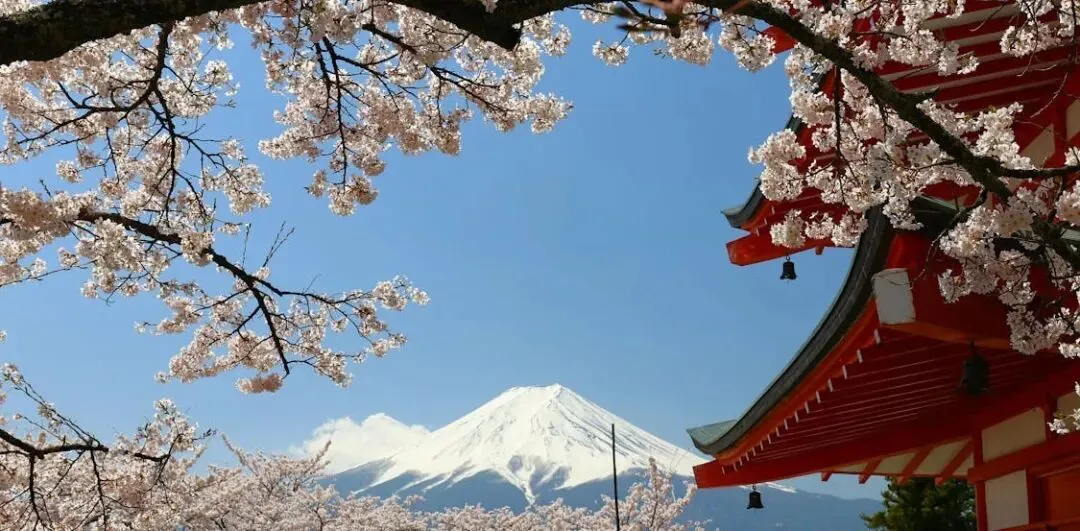 别瞎忙了!3-5月全球跨境营销节点,踩错白干半年